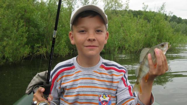 Прикрепленное изображение