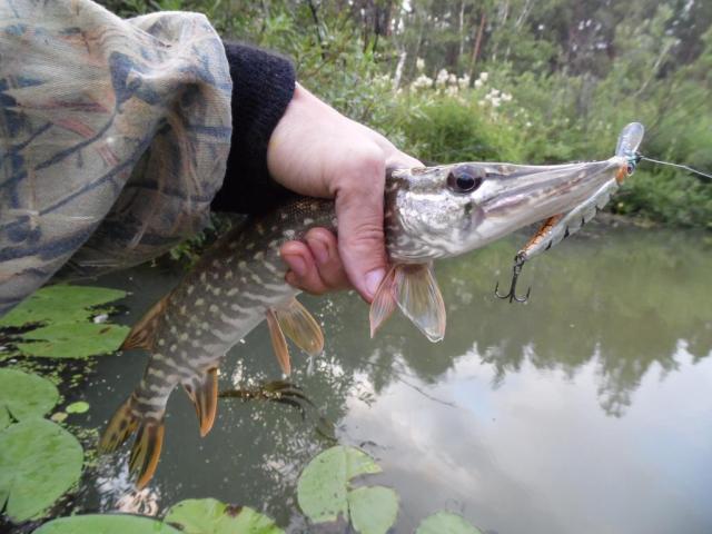 Прикрепленное изображение