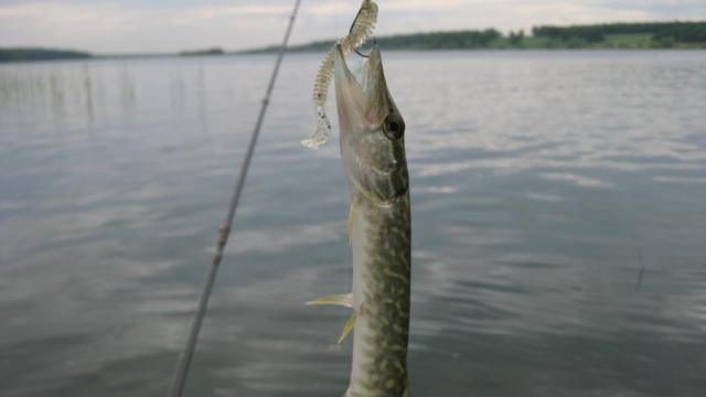 Прикрепленное изображение