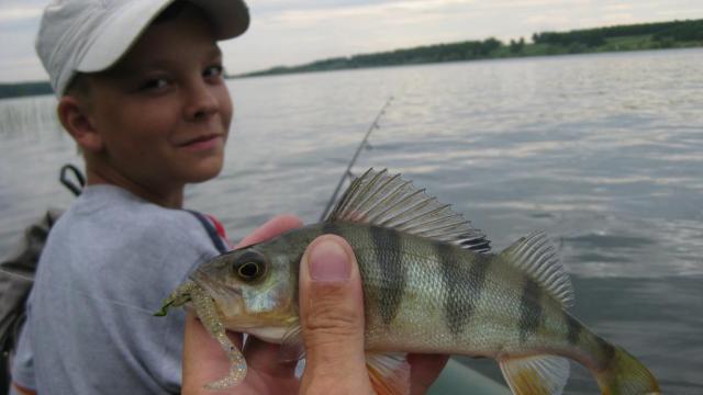 Прикрепленное изображение