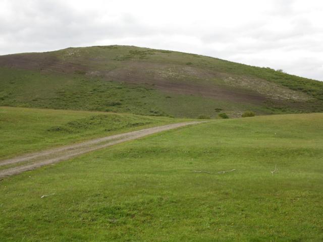 Прикрепленное изображение