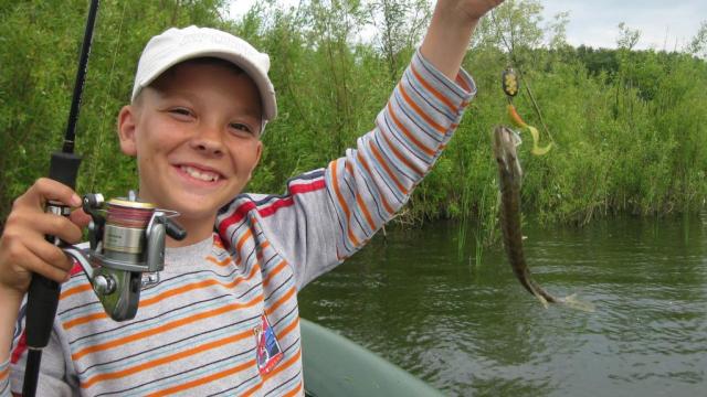 Прикрепленное изображение