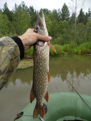 Прикрепленное изображение