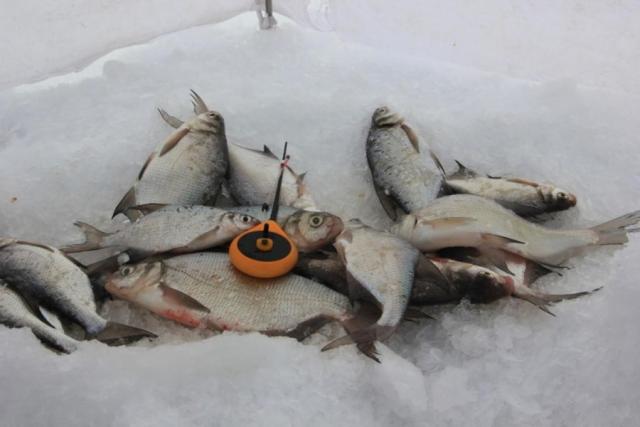 Прикрепленное изображение