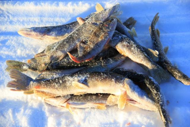 Прикрепленное изображение