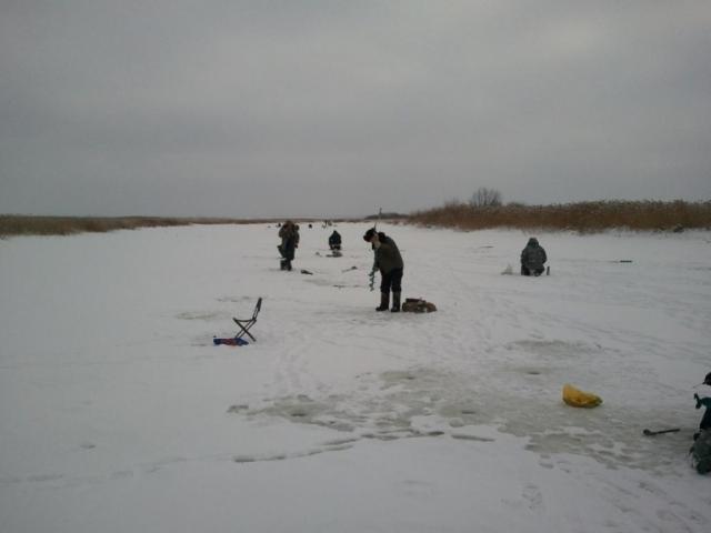 Прикрепленное изображение