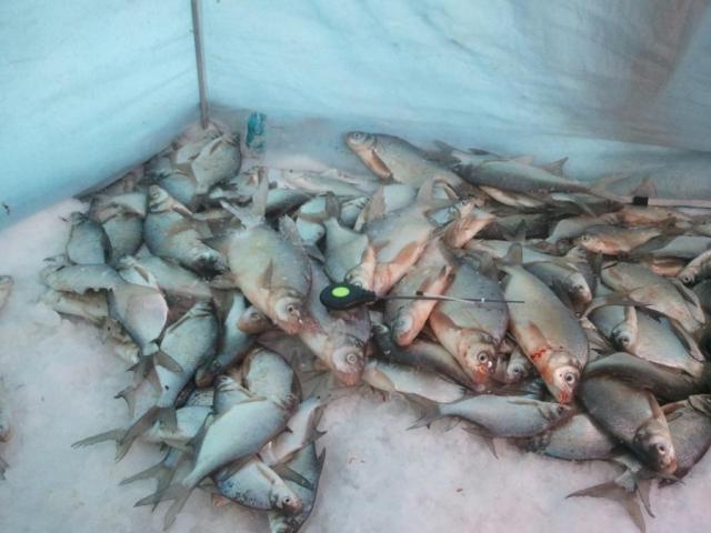 Прикрепленное изображение