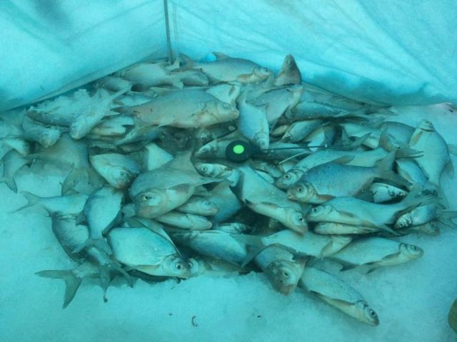 Прикрепленное изображение