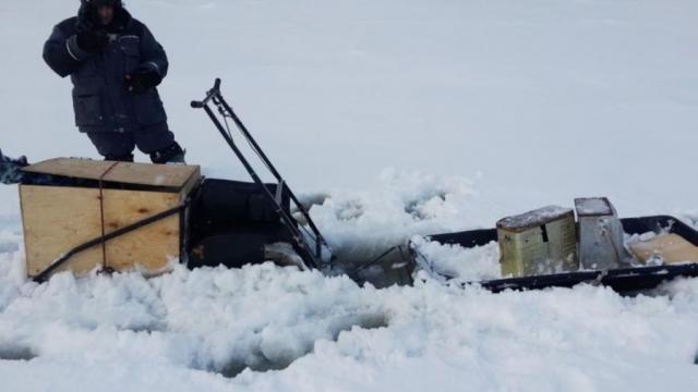 Прикрепленное изображение