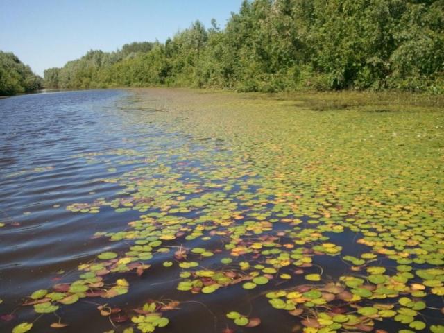 Прикрепленное изображение