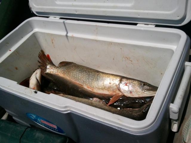 Прикрепленное изображение