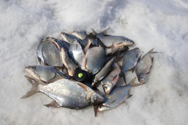 Прикрепленное изображение