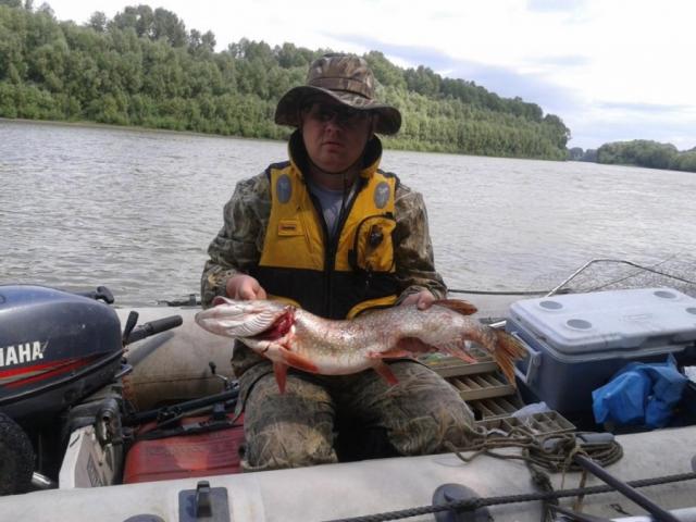 Прикрепленное изображение