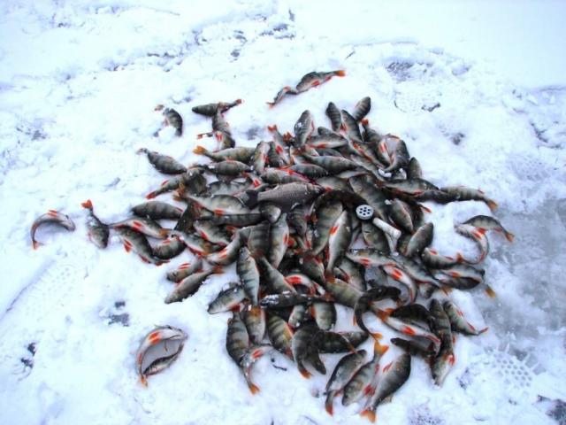 Прикрепленное изображение