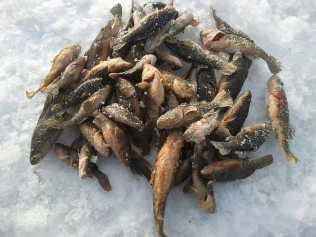 Прикрепленное изображение