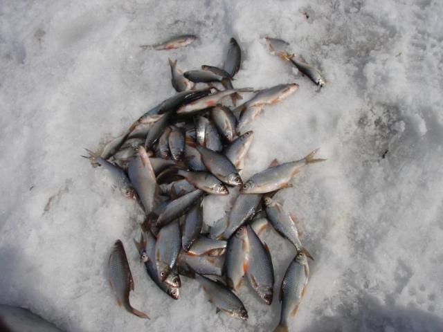 Прикрепленное изображение