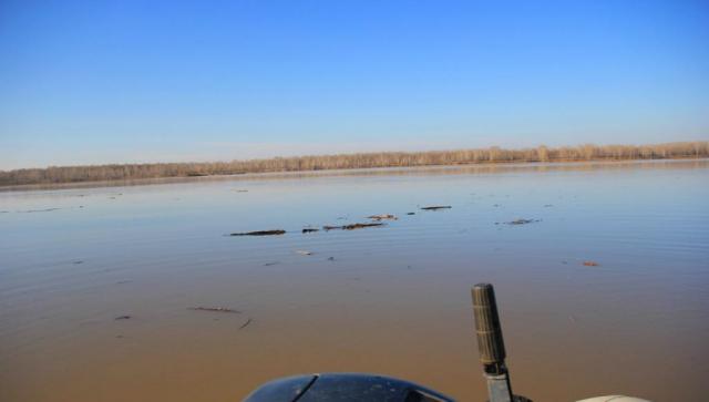 Прикрепленное изображение