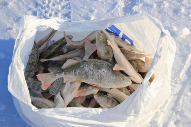 Прикрепленное изображение