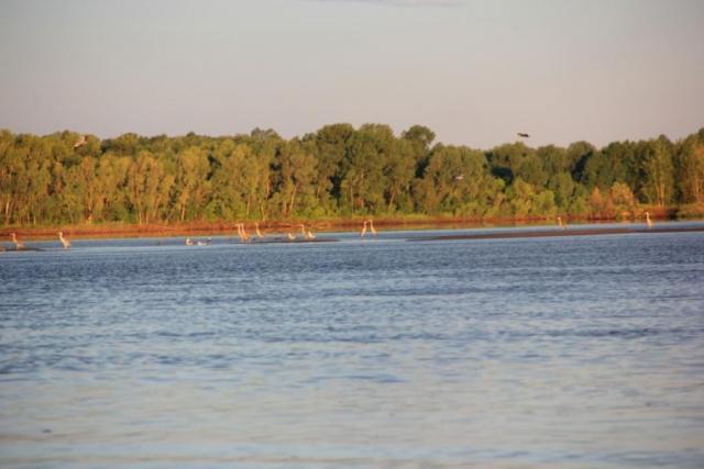 Прикрепленное изображение