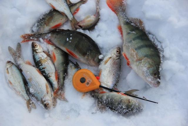 Прикрепленное изображение