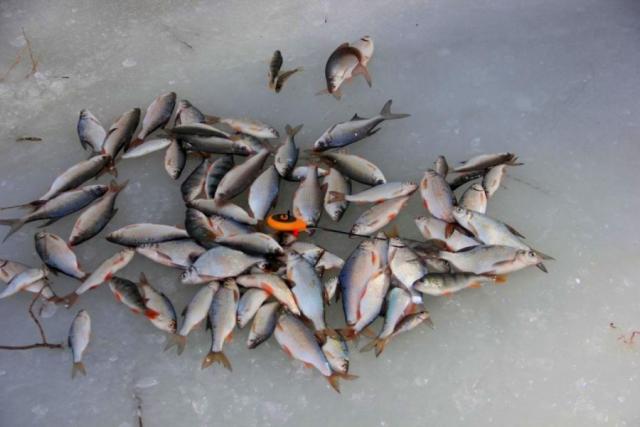 Прикрепленное изображение