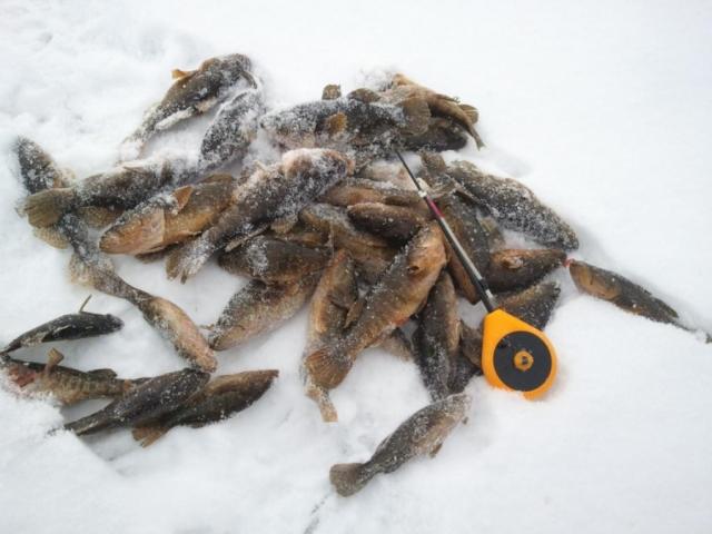 Прикрепленное изображение