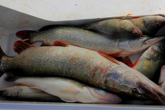 Прикрепленное изображение