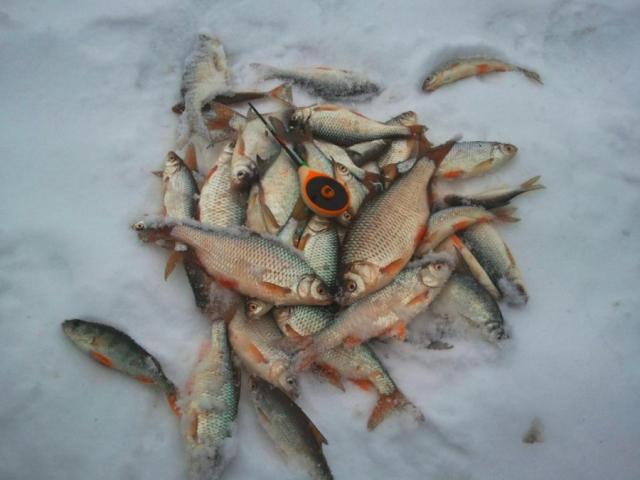 Прикрепленное изображение