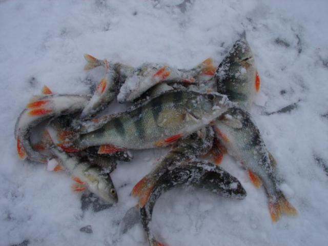 Прикрепленное изображение