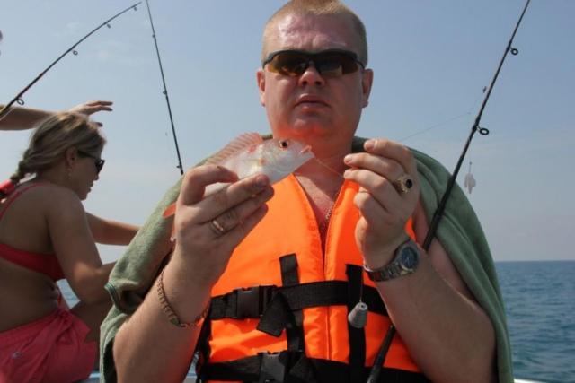 Прикрепленное изображение