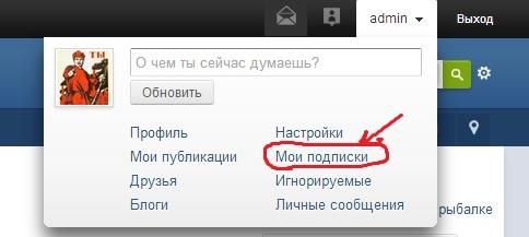 Мои подписки.jpg