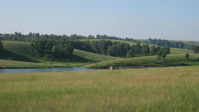 IMG_1955.JPG