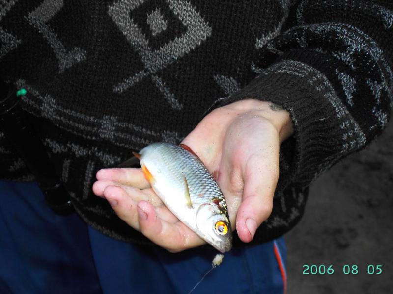 PICT0086.JPG
