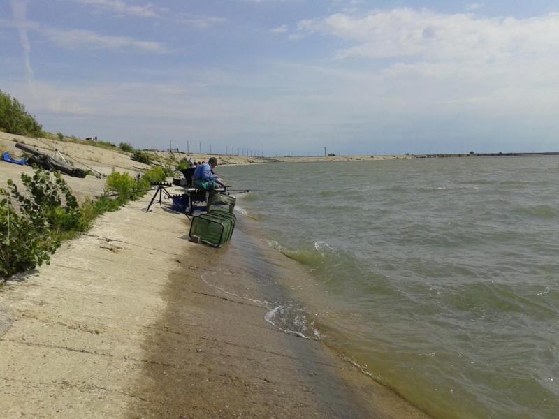 20140629_105831.jpg