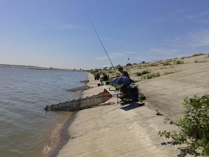 20140628_130725.jpg