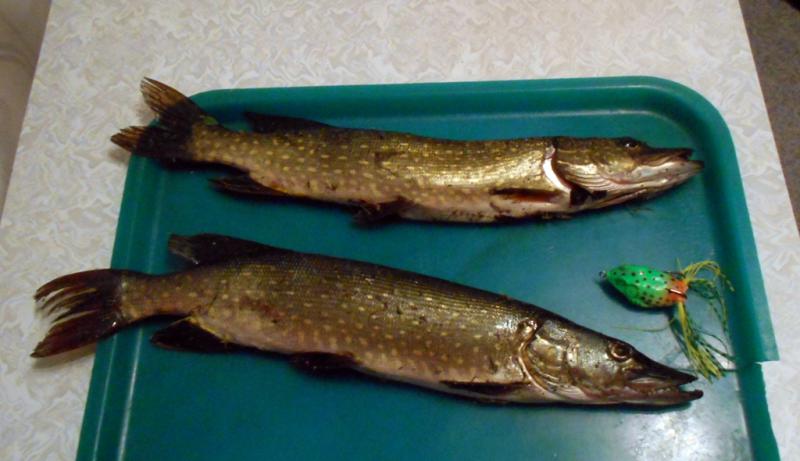 Изображение 006.jpg