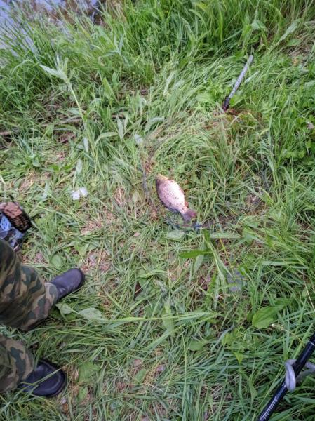 2018-06-17 11-14-35.JPG