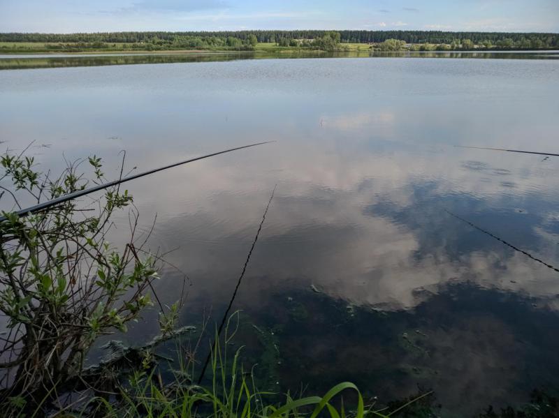 2018-06-17 07-48-20.JPG