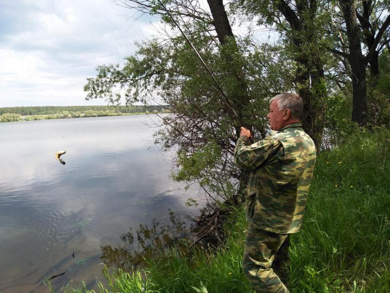 2018-06-17 10-45-40_1529233847140.JPG