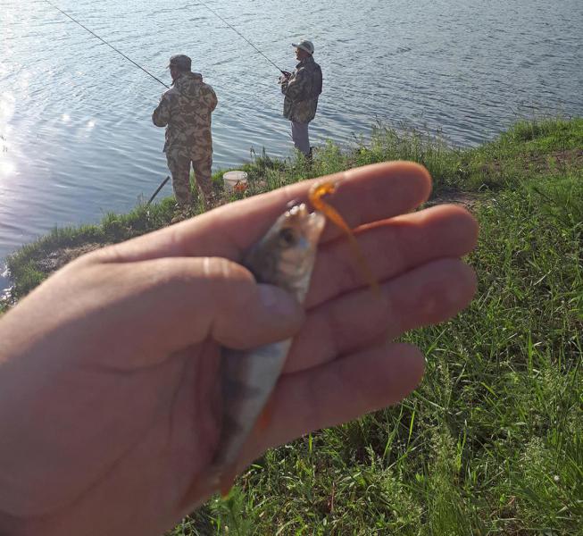 2018-06-20 07-38-12.JPG