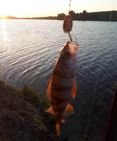 2018-06-16 05-17-19.JPG