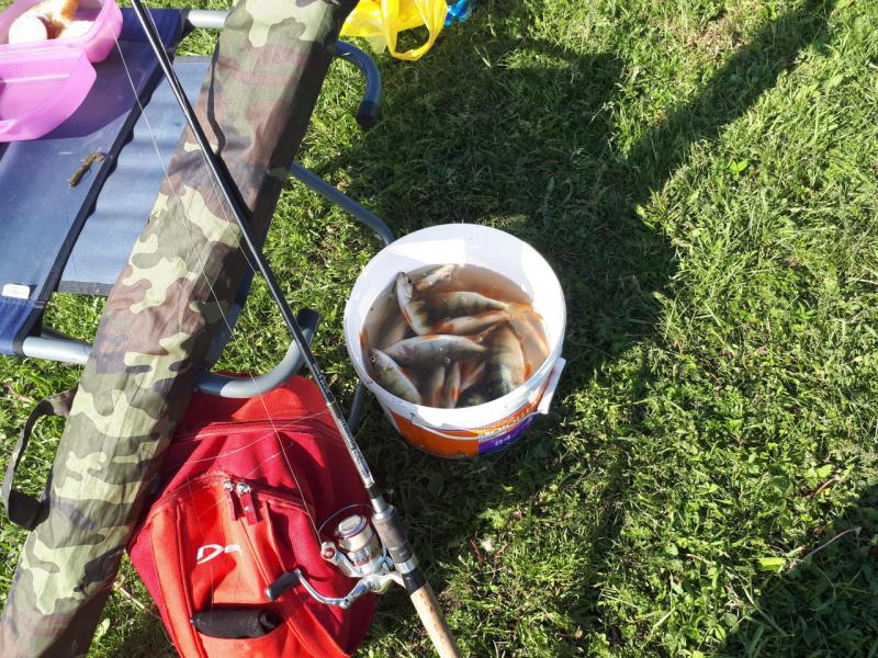 2018-06-16 08-33-07.JPG