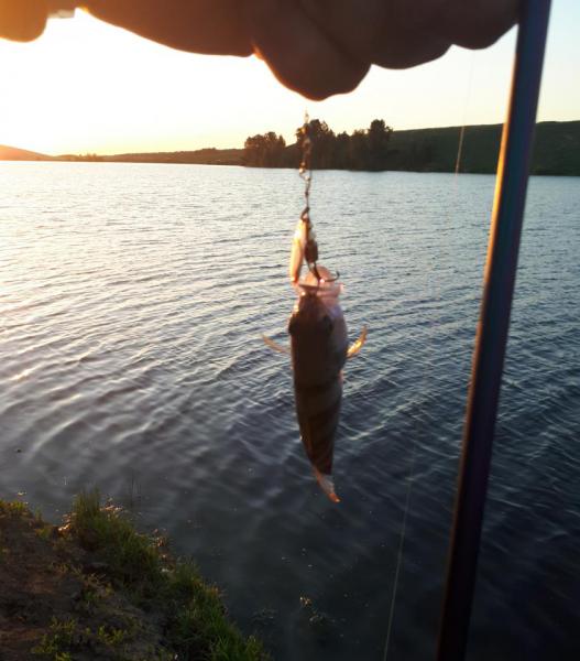 2018-06-16 05-17-23.JPG