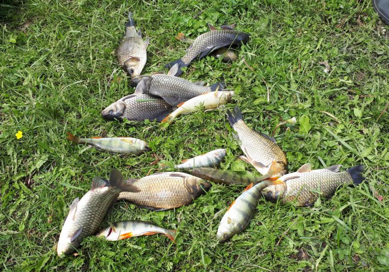 2018-06-16 12-48-31.JPG