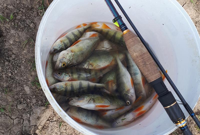 2018-06-20 08-17-15.JPG