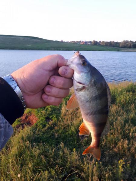 2018-06-16 05-25-02.JPG