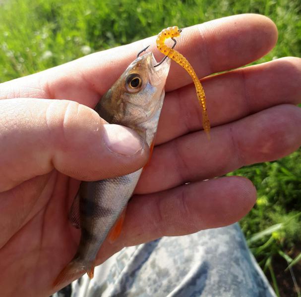 2018-06-20 07-38-09.JPG