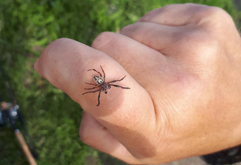 2018-06-20 08-17-35.JPG