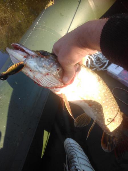 Прикрепленное изображение: IMG_20180622_065710.jpg