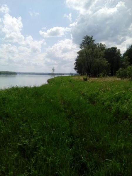 Прикрепленное изображение: IMG_20180610_151454.jpg